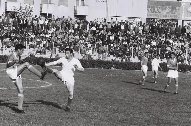 葡京娱乐场-布拉泽维奇的传奇一生②：辉煌生涯，起飞于瑞士